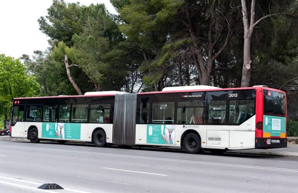 18156980_1740481495978975_9065837166963248837_n