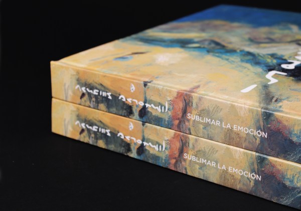 IMG_7689 copia 2 copia