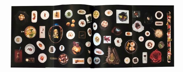 vg libro dry 14 copia1 copia 2