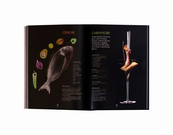 photo : vicens gimenez info@vicensgimenez.com www.vicensgimenez.com +34 609273270 Barcelona